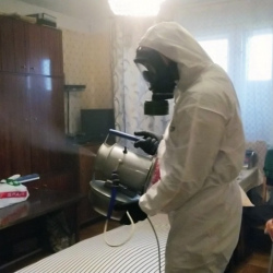 Дезинфекция от клопов в Дюртюли