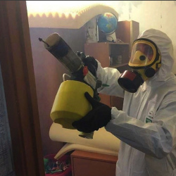 Уничтожение клопов в квартире. Дюртюли